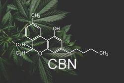 What is CBN and How Can it Help?