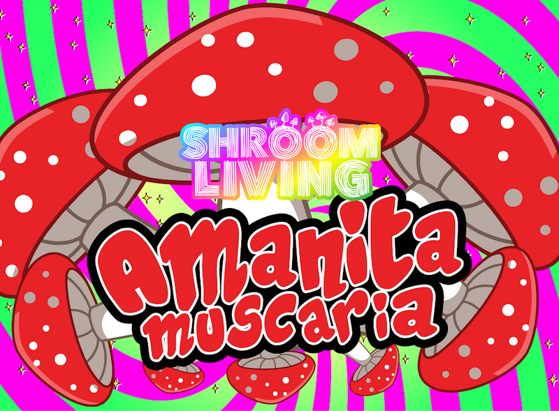 legal-psychedelic-shrooms?-meet-amanita-muscaria!