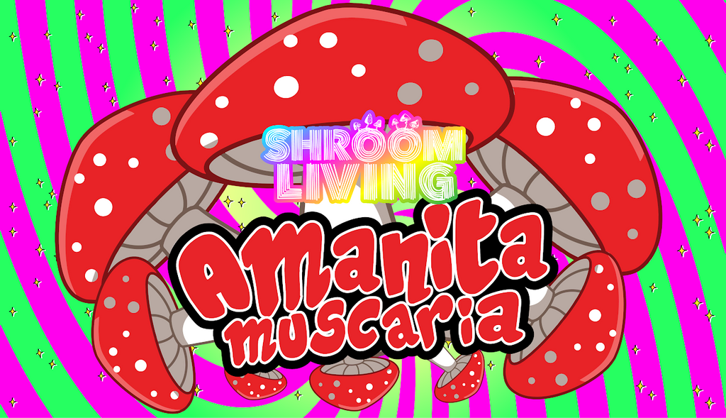 Legal Psychedelic Shrooms? Meet Amanita Muscaria!